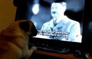 Έβαζε τον σκύλο του να παρακολουθεί ομιλίες του Χίτλερ και να χαιρετά ναζιστικά!