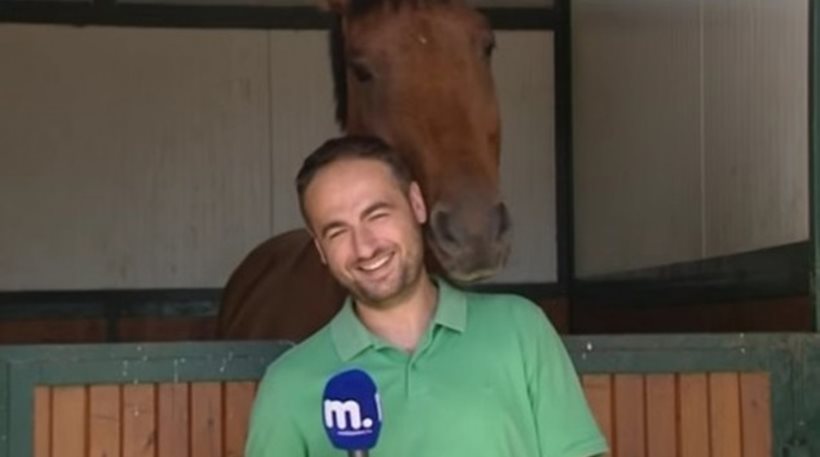Άλογο ερωτεύεται Έλληνα δημοσιογράφο και το video γίνεται viral