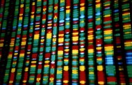 Εγκαίνια της πρώτης Μονάδας ανάλυσης Αρχαίου DNA