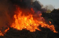 Συνεχίζει να καίει ανεξέλεγκτη η πυρκαγιά στη Νότια Καλιφόρνια