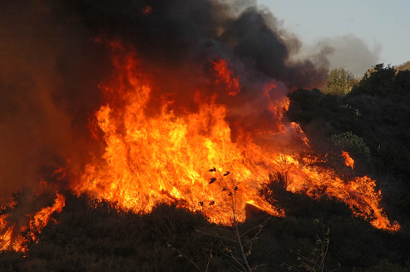 Συνεχίζει να καίει ανεξέλεγκτη η πυρκαγιά στη Νότια Καλιφόρνια