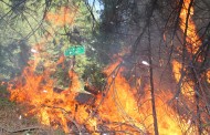 Συναγερμός στη Χίο λόγω μεγάλης πυρκαγιάς