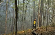 Συνεχίζει να καίει η πυρκαγιά στην Εύβοια- 20.000 στρέμματα καμένου δάσους