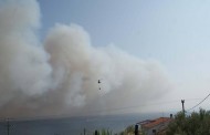 Εύβοια: Δραματικές στιγμές στη Λίμνη- Μία ανάσα από τα σπίτια η μεγάλη πυρκαγιά