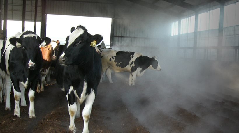Γερμανία: Έκρηξη σε αγρόκτημα από αγελάδες που... πέρδονταν!