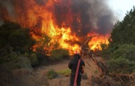 Βοιωτία: Θρήνος για τον πυροσβέστη που έπεσε νεκρός κατά την κατάσβεση πυρκαγιάς
