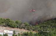 Εύβοια: Υπό μερικό έλεγχο η φωτιά στο Καστρί