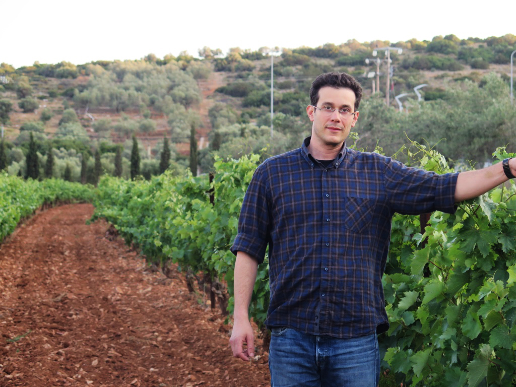 Savatiano, Roditis, Mandilaria: Warum sie diese griechischen Weinsorten probieren sollten