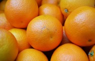 Η Ελλάδα είναι τρίτη στις εισαγωγές πορτοκαλιών στη Γερμανία