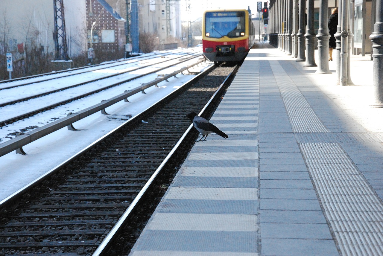 Stuttgart: Δύο νεαροί άνδρες δέχτηκαν επίθεση με κλωτσιές στο κεφάλι σε σταθμό S-Bahn