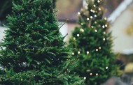 Γερμανία: Ζευγάρι διακοσμεί το σπίτι του με πάνω από 100 χριστουγεννιάτικα δέντρα