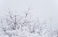 Ελλάδα: Καιρός για χιόνια - Δείτε σε ποιες περιοχές θα χιονίσει σήμερα