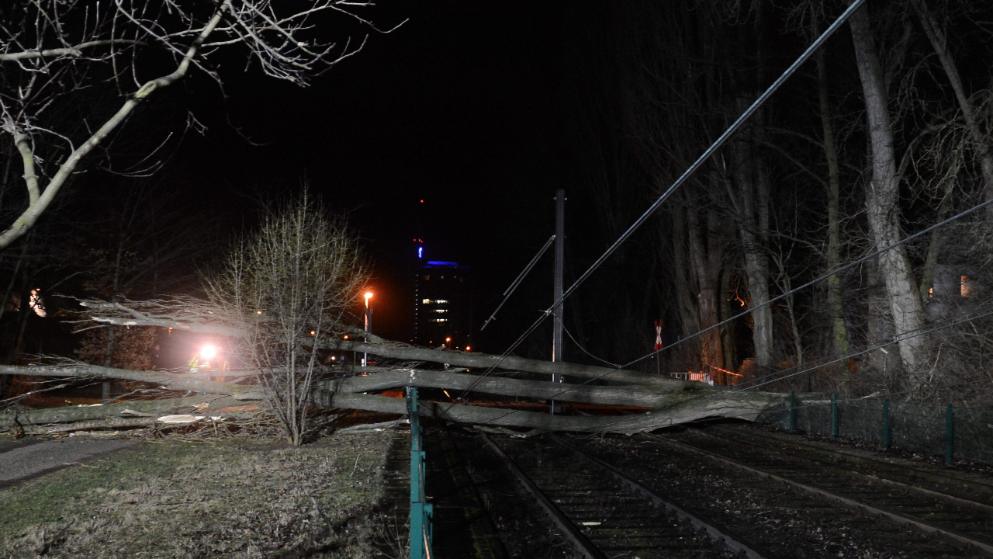 Κύμα κακοκαιρίας σάρωσε τη Γερμανία - Πεσμένα δέντρα, σταματημένα τρένα και αρκετοί τραυματίες