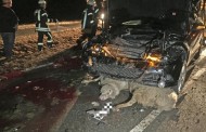 Bayern: Δύο αυτοκίνητα συγκρούστηκαν με κοπάδι – 30 πρόβατα νεκρά