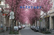 Εσείς έχετε επισκεφθεί τις Υπέροχες κερασιές της Βόννης;