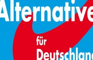Γερμανία: Αλλαγή ηγεσίας για το AfD