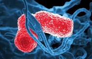 Frankfurt: Επικίνδυνα βακτήρια εντοπίστηκαν σε νοσοκομείο – Δύο νεκροί