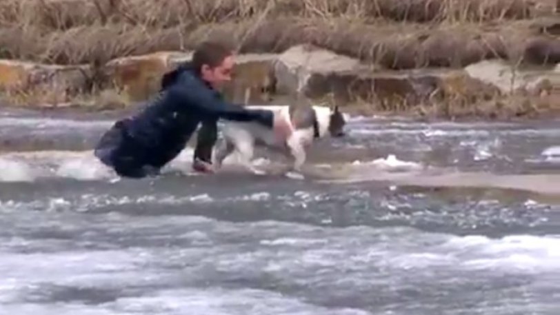 Έκανε βουτιά σε παγωμένη λίμνη ... για να σώσει τον σκύλο του! (Video)