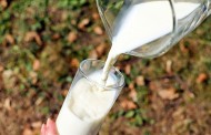 Γερμανία: Προσοχή! Ανάκληση γάλακτος λόγω ανίχνευσης … απορρυπαντικού