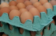 NRW: Προσοχή! Ανακαλούνται εκατοντάδες … αυγά!