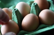 Συλλήψεις δύο υπόπτων στο πλαίσιο της έρευνας για τα μολυσμένα αυγά