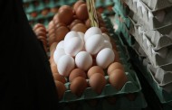 Deutsche Welle: 10,7 εκατομμύρια μολυσμένα αυγά στη Γερμανία