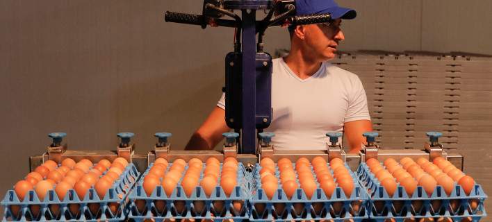Γερμανία: Για 28 εκατ. μολυσμένα αβγά κάνουν λόγο τα τοπικά μέσα