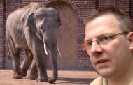 Γερμανία: Επίθεση ελέφαντα σε ζωολογικό κήπο