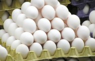 Το Βέλγιο γνώριζε για τα μολυσμένα αβγά πριν αποκαλυφθεί το σκάνδαλο