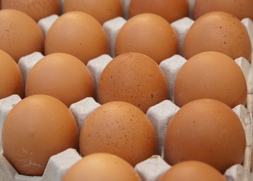 Γερμανία: Λιγότερα αυγά, υψηλότερες τιμές;