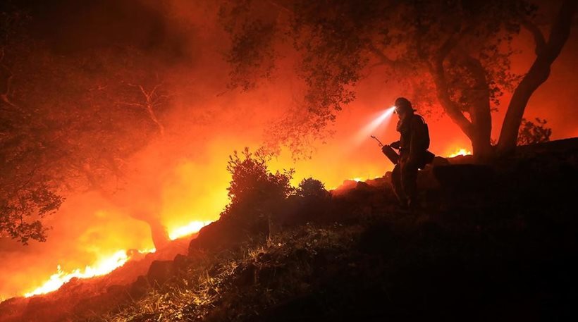 Πυρκαγιές στην Καλιφόρνια: Στους 31 οι νεκροί