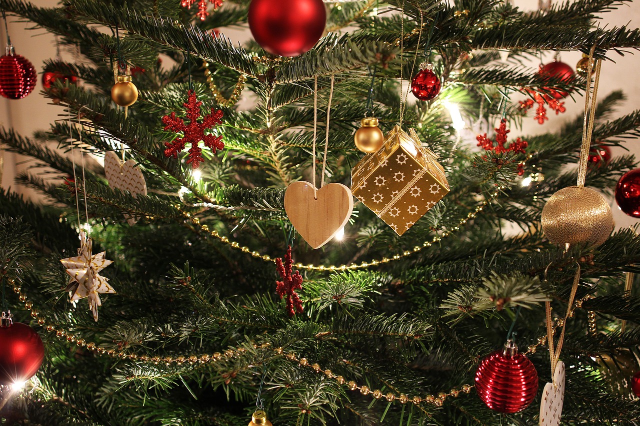 Σήμερα είναι στη Γερμανία η μέρα αγοράς του Χριστουγεννιάτικου Δέντρου; Δείτε τις τάσεις που επικρατούν