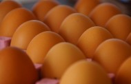 Γερμανία: Νέο σκάνδαλο με μολυσμένα αυγά - Εντοπίστηκε και αποσύρθηκε παρτίδα 73.000 αυγών