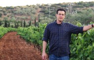 Savatiano, Roditis, Mandilaria: Warum sie diese griechischen Weinsorten probieren sollten